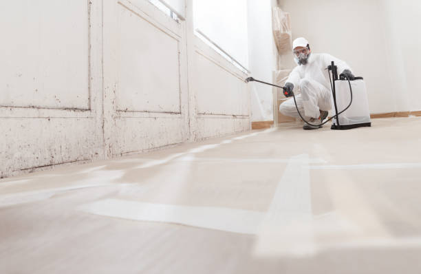 24/7 Emergency Mold Cleanup experts in Springfield, KY