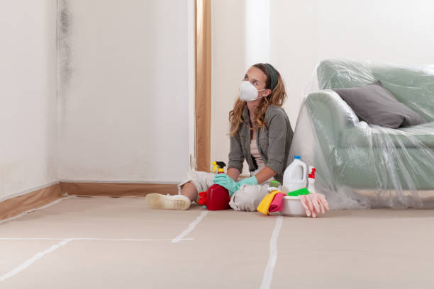 Reliable Mold Cleanup contractor in Springfield, KY by WQB Mold Removal